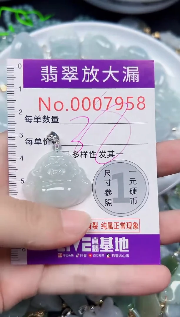 颈饰未镶嵌翡翠7958