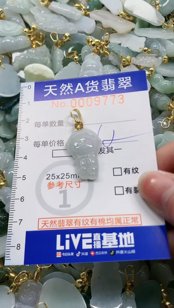 颈饰未镶嵌翡翠纯天然a货翡翠