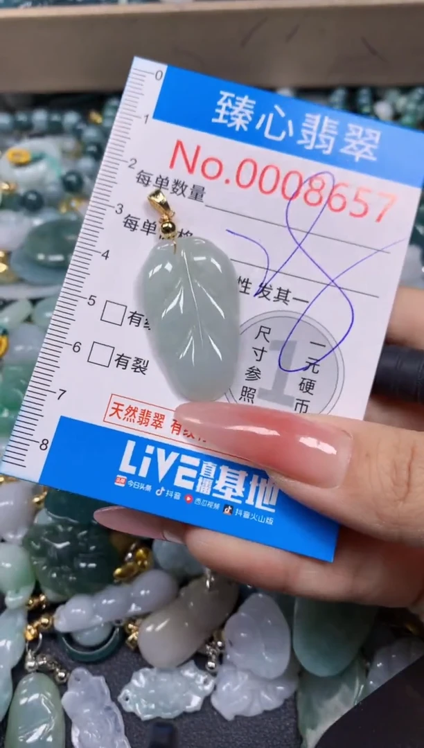 【闪购商品】翡翠颈饰未镶嵌含绳0008657