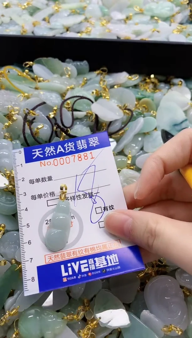 颈饰未镶嵌翡翠纯天然a货翡翠