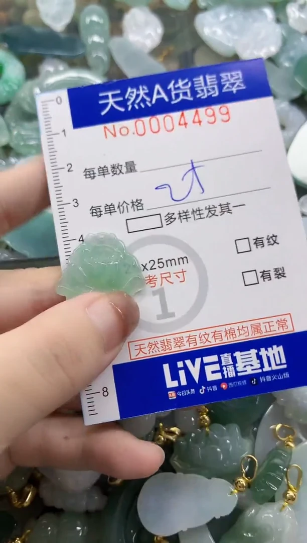 颈饰未镶嵌翡翠天然A货翡翠