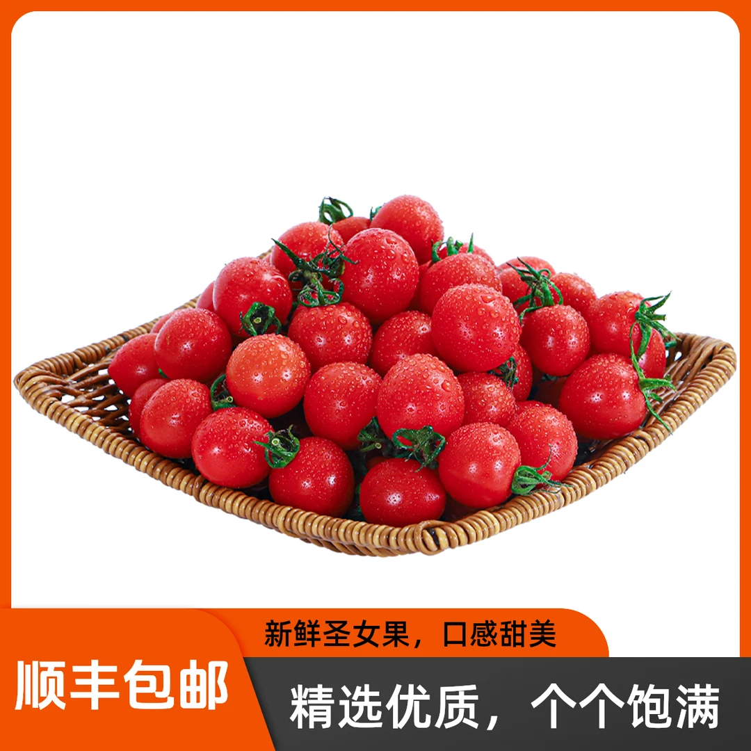 【顺丰包邮】山东千禧果小番茄新鲜水果樱桃千玺圣女果小西红柿