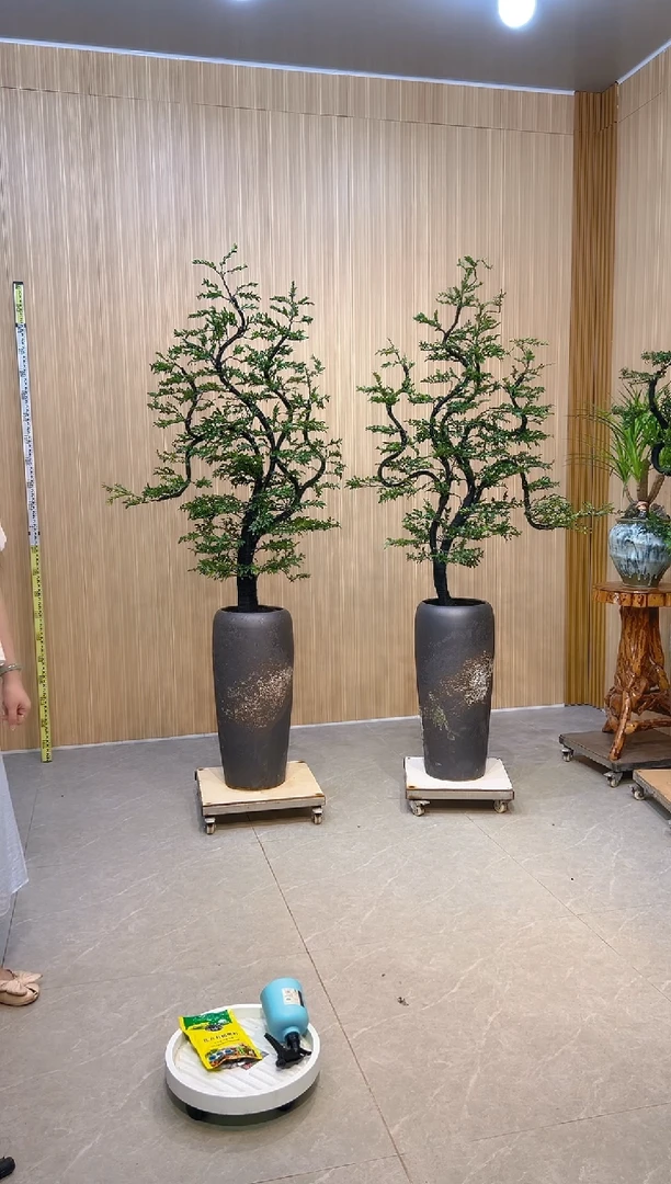 无花朵X*小叶紫檀小叶紫檀