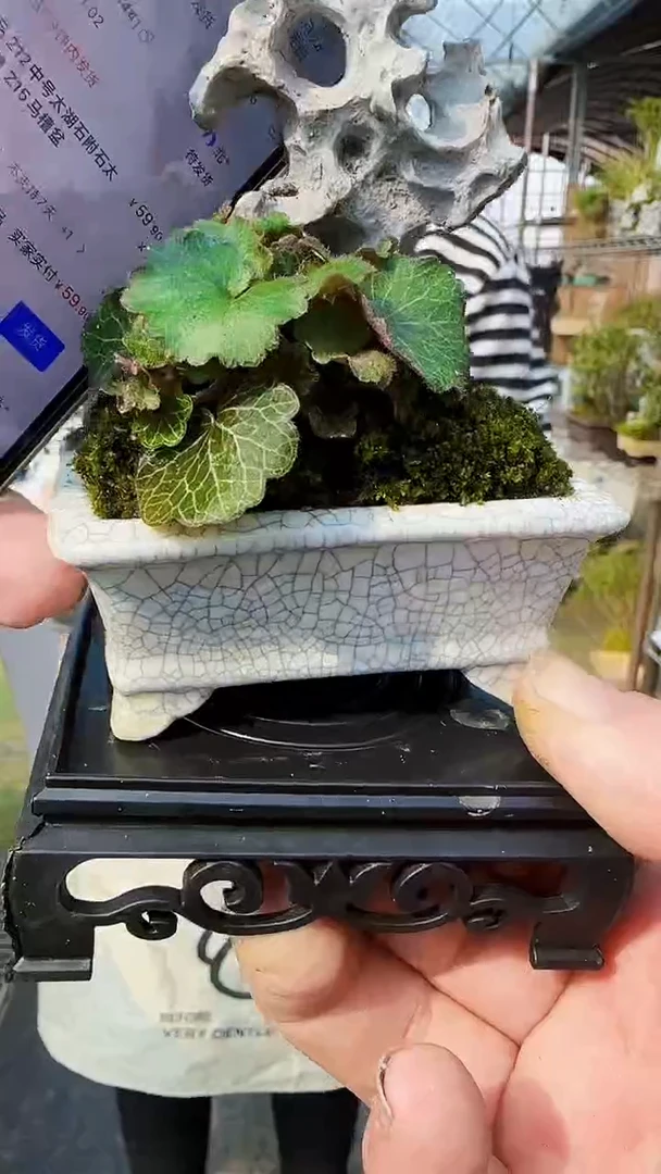 【闪购商品】522