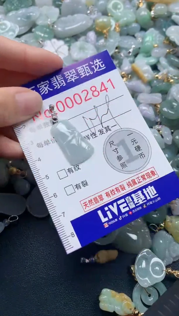 吊坠(不含链)未镶嵌翡翠2841