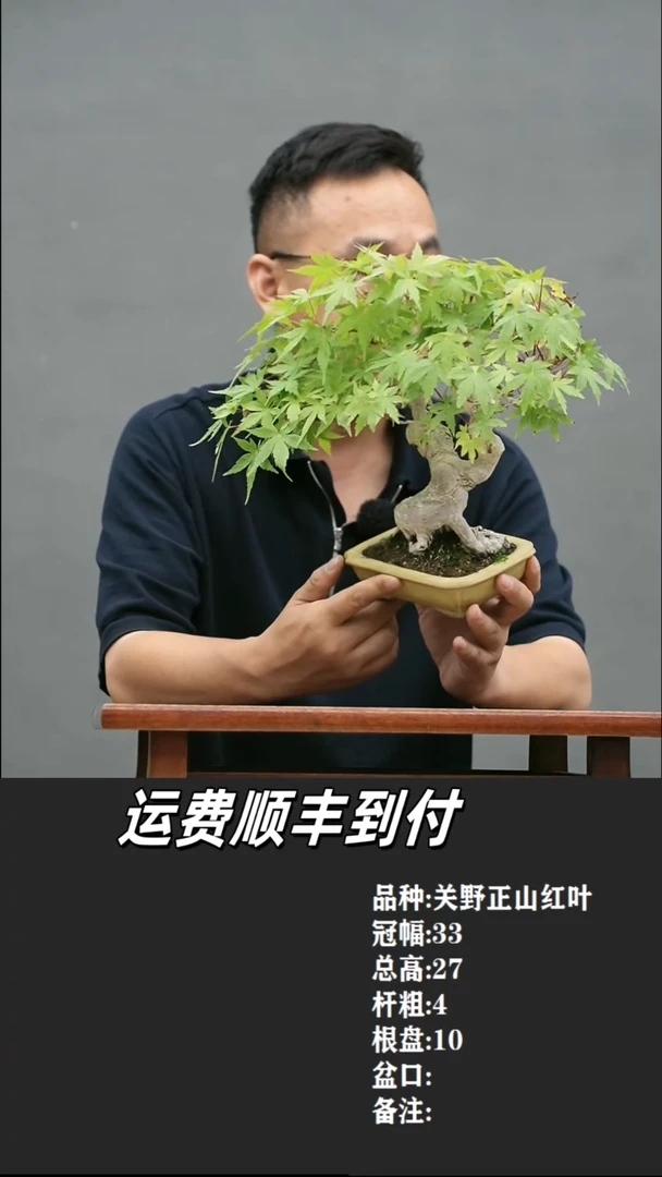 22 山红叶