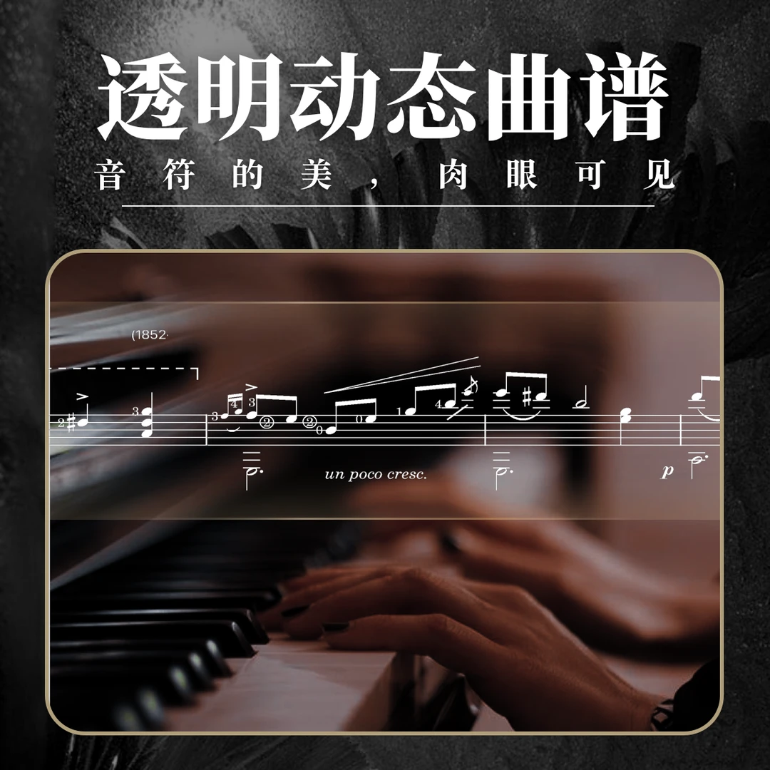 「郝猫音乐」2025音乐账号透明动态曲谱制作