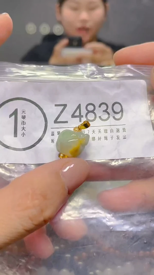 颈饰未镶嵌翡翠/ Z /翡翠A货，一件也是批发价