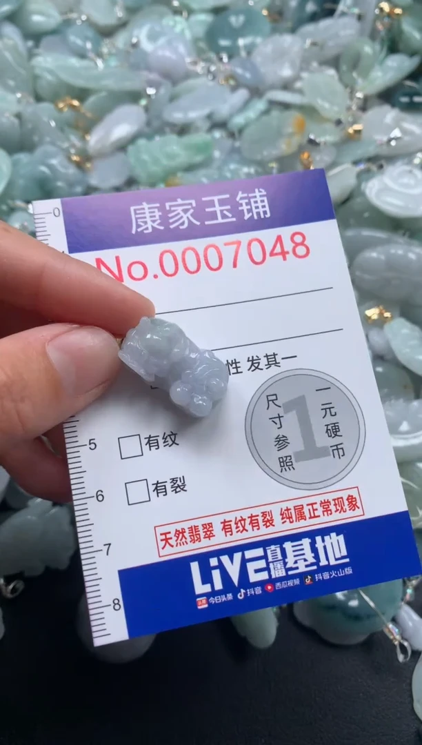 颈饰未镶嵌翡翠7048