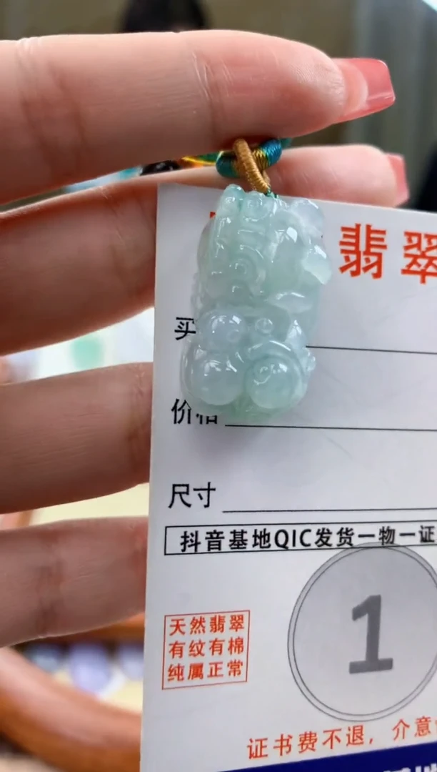 颈饰未镶嵌翡翠天然A货翡翠挂件