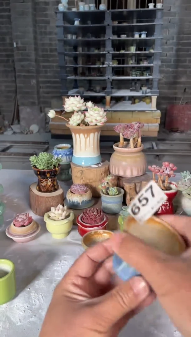 瓷片657小芳直播编号