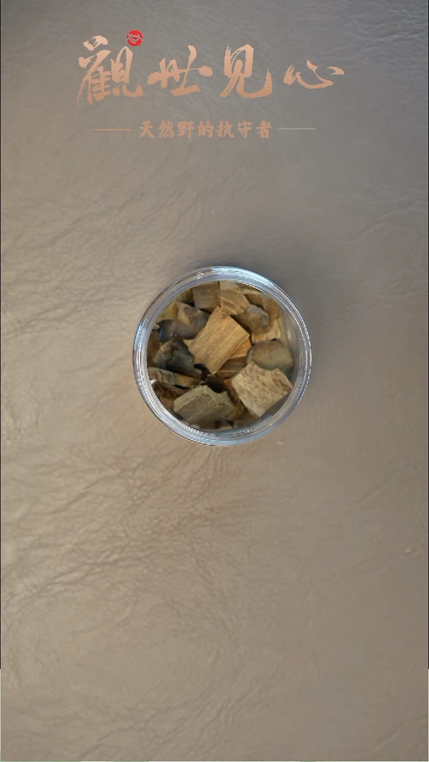 沉香沉香碎屑老亚齐碎料  1g
