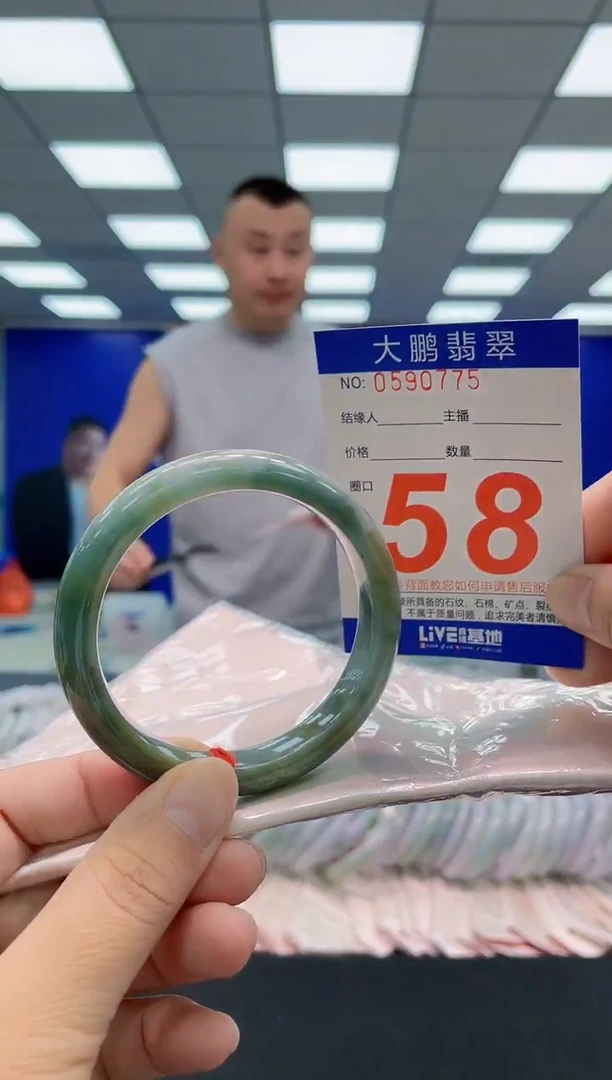 未镶嵌手镯翡翠AAAAAAAAA