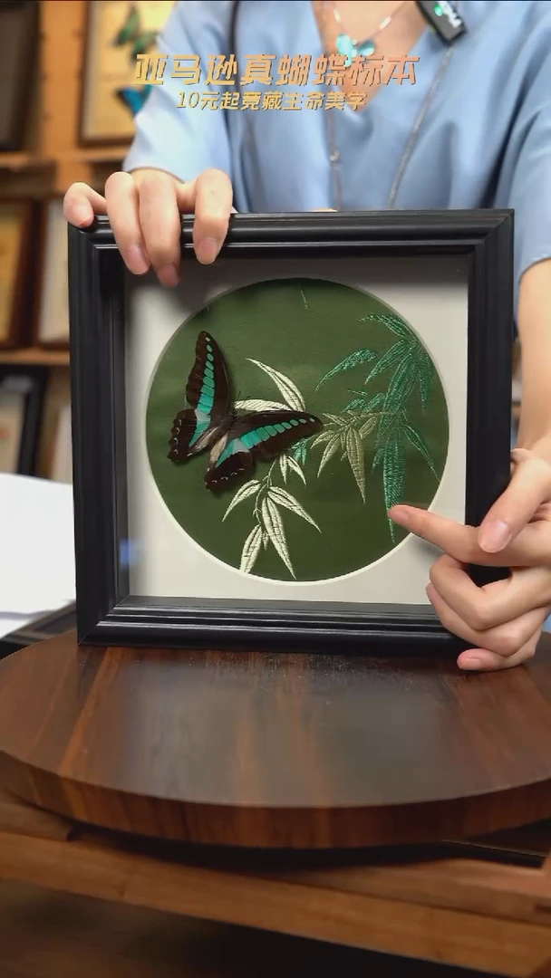 青凤蝶竹子布料底新版本