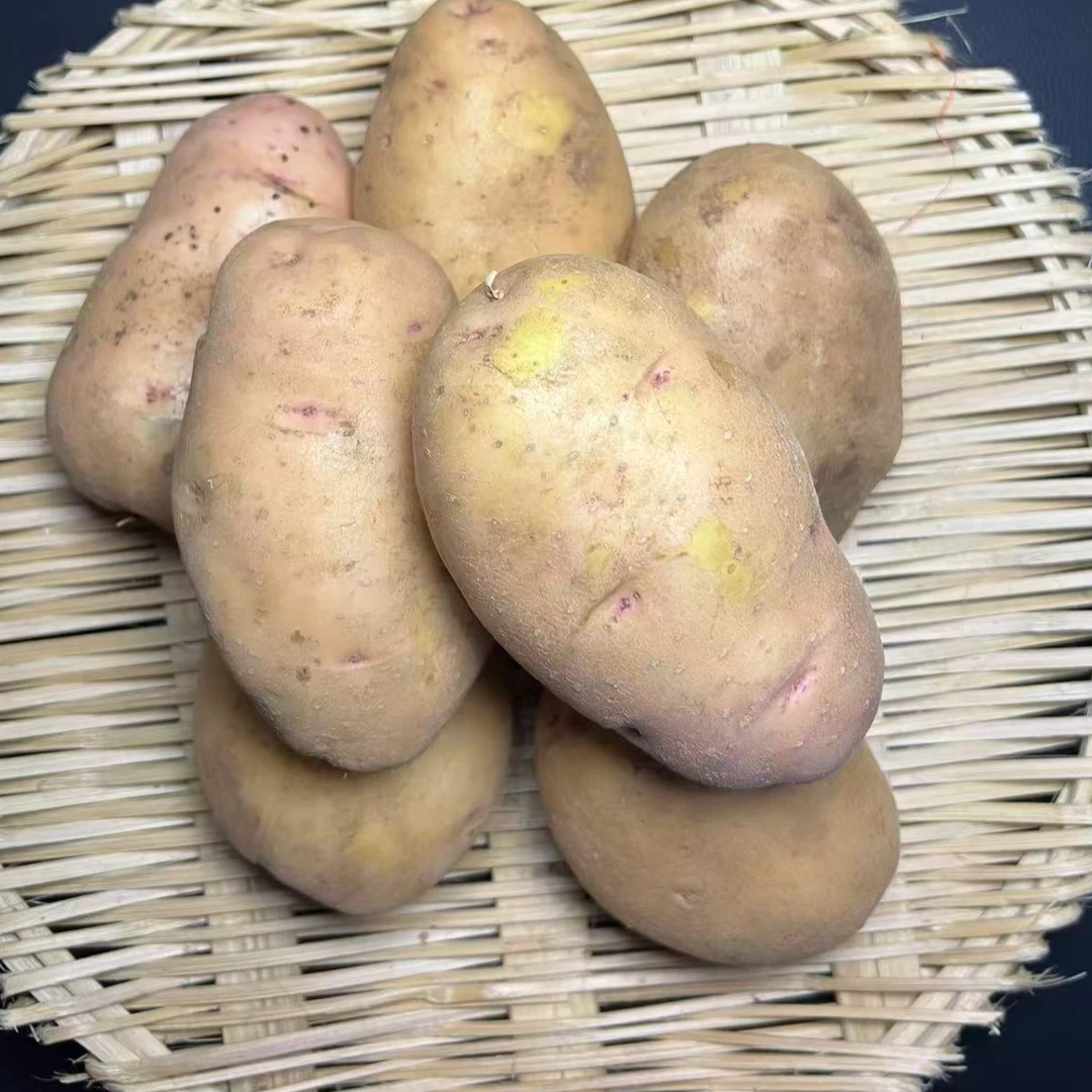 贵州威宁黄皮黄心土豆新鲜现挖高原种植蔬菜马铃薯