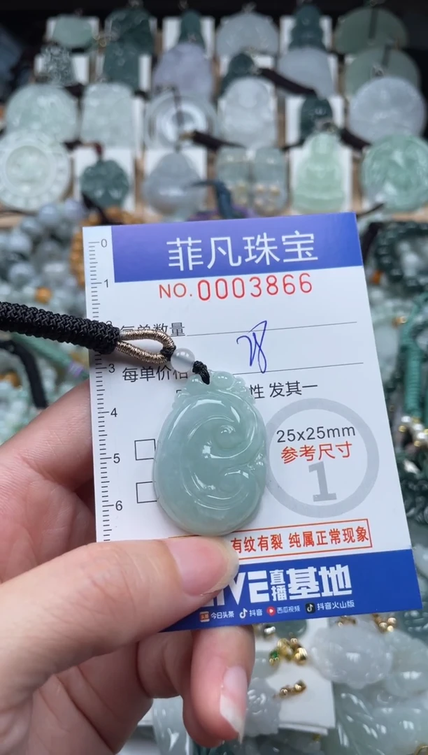 翡翠未镶嵌颈饰00..3866
