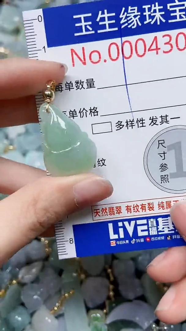 【闪购商品】翡翠颈饰未镶嵌闪购00004305