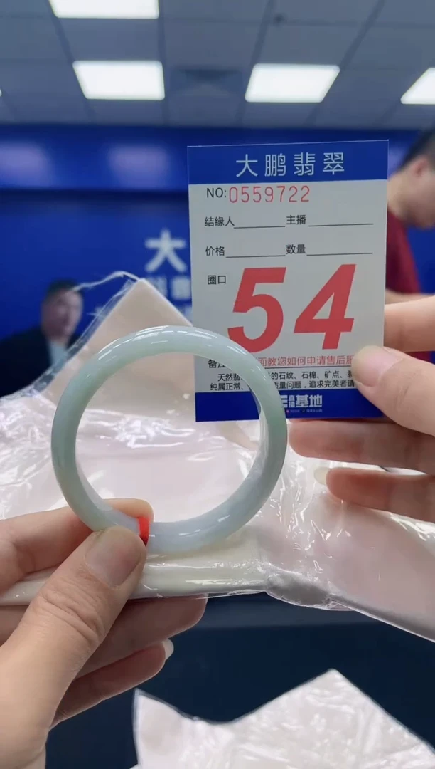 未镶嵌手镯翡翠AAAAAAAAAA