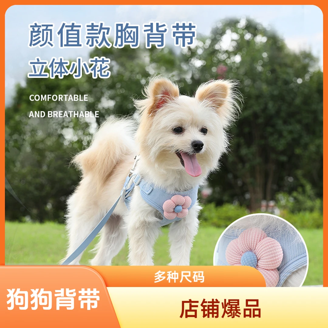 小狗狗牵引绳背心式小型犬泰迪比熊博美专用胸背带幼犬狗绳牵引绳