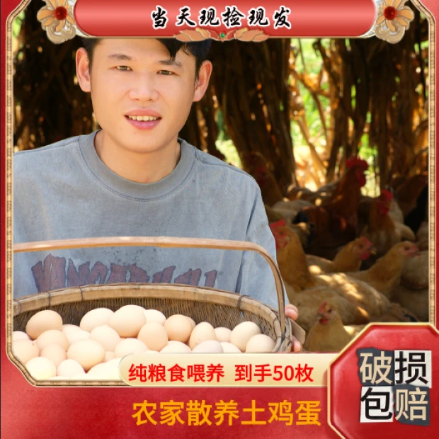 【阿苏家农场】50枚散养皖南土鸡蛋 纯粮食喂养  破损包赔