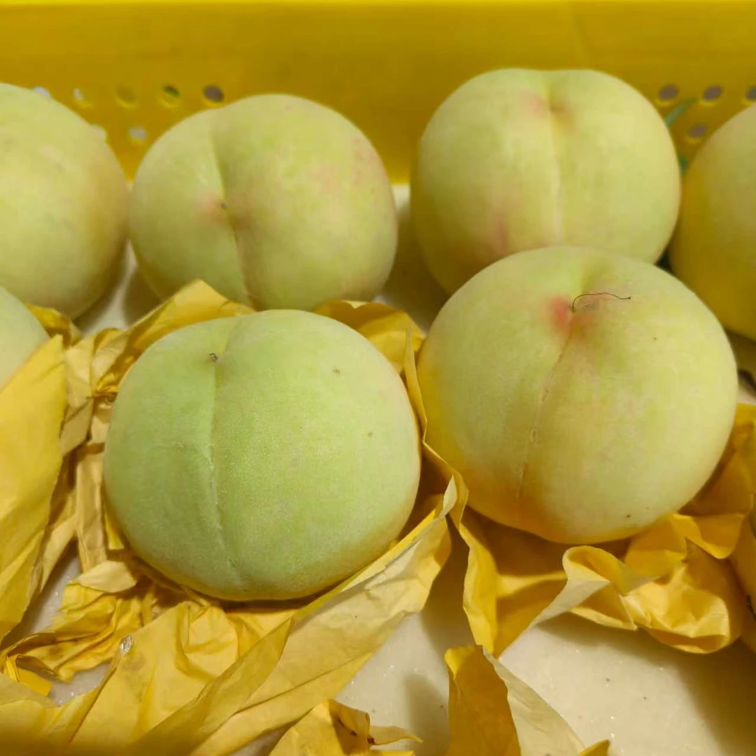 5两左右阳山雪桃新鲜现摘脆甜多汁桃子当季应季水果香甜可口