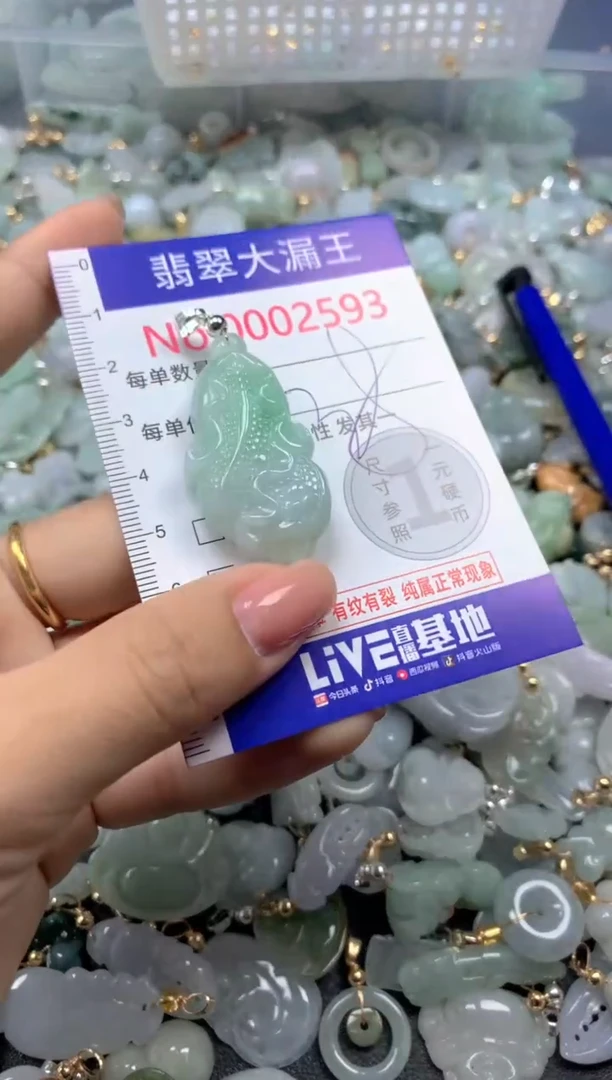 颈饰未镶嵌翡翠2593