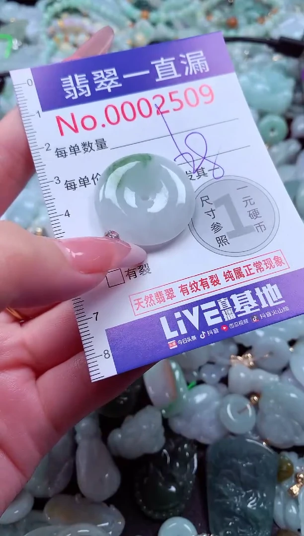 翡翠未镶嵌吊坠(不含链)2509