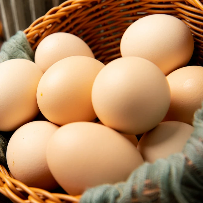 【新人福利】土鸡蛋农家散养 谷物喂养新鲜现捡 45g到50g/枚 A5+3