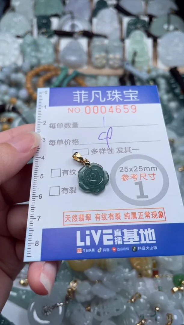 翡翠未镶嵌颈饰00..4659