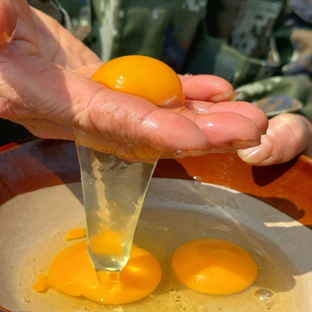 农家散养土鸡蛋土鸭蛋现捡现发