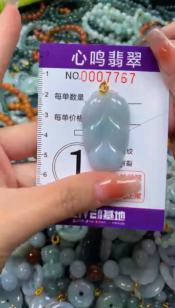 颈饰未镶嵌翡翠闪购007767