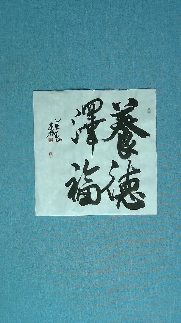 【闪购商品】书法195 捡漏陈述林中书协34*34