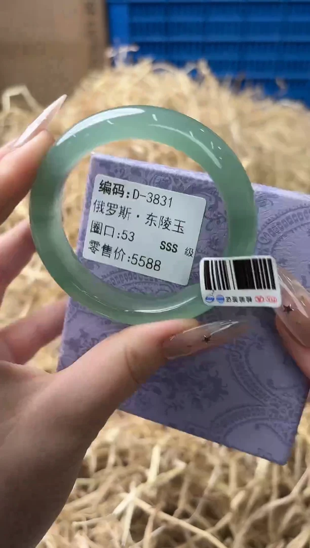 未镶嵌手镯石英质玉D-3831