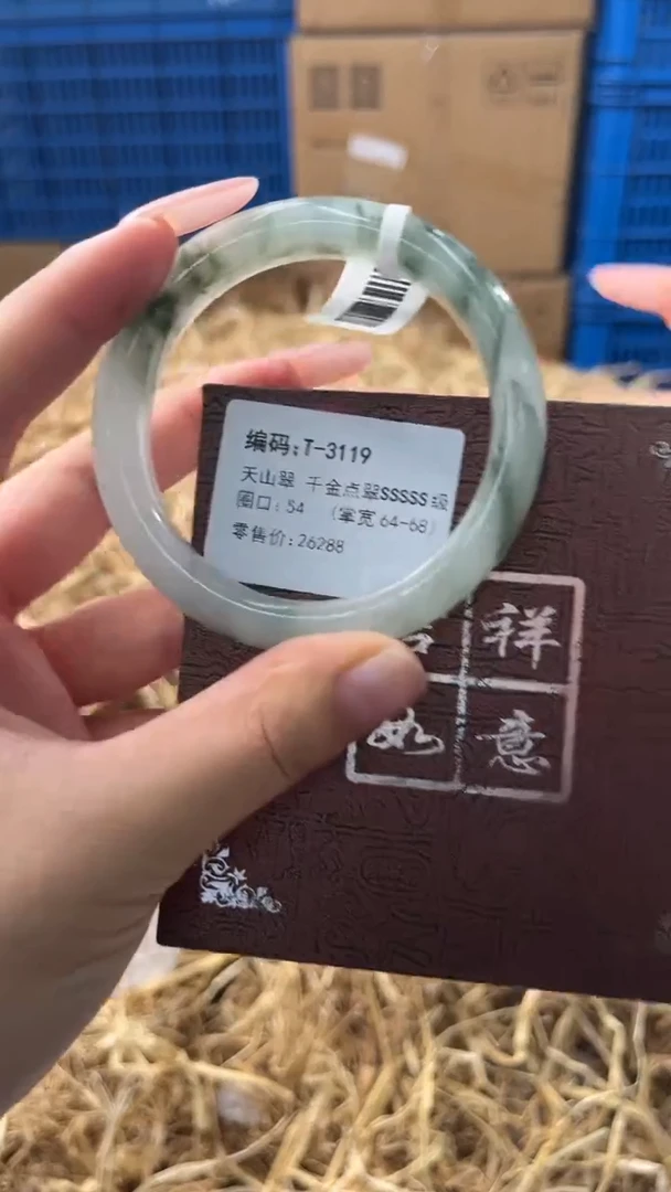 未镶嵌手镯石英质玉T-3119