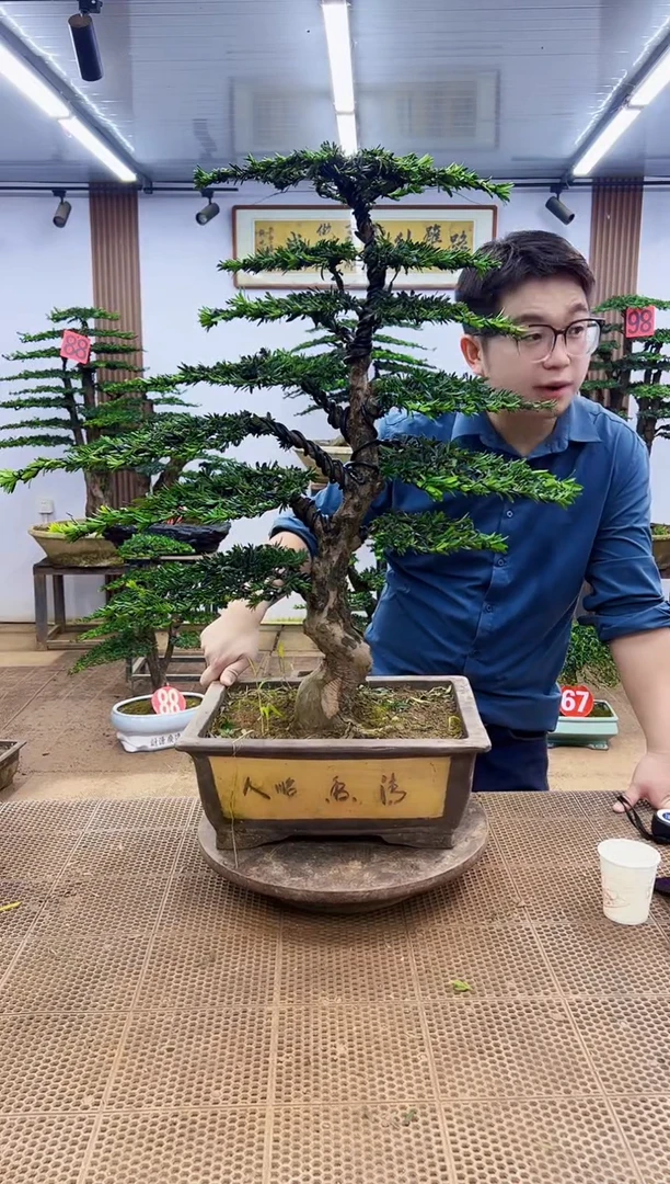 无花朵一物一拍，所见即所得