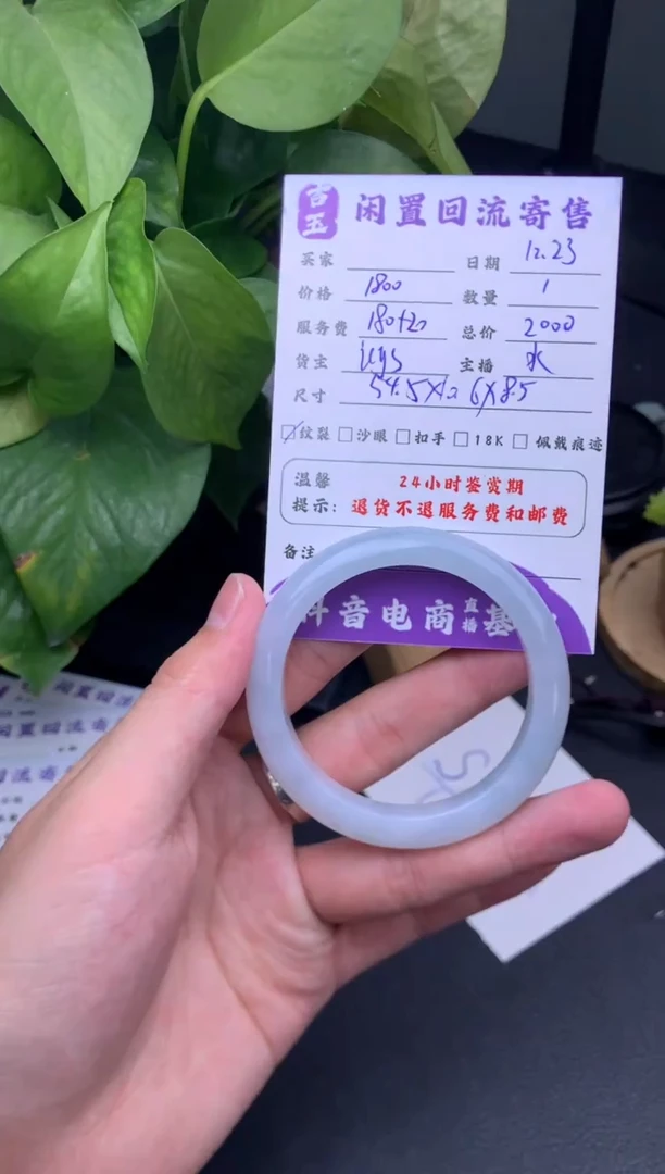 未镶嵌手镯翡翠✨?手镯