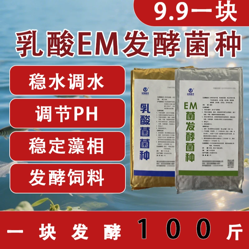 乳酸菌菌种原种EM发酵菌种净水调水肥水稳定PH发酵抑制水浓水绿