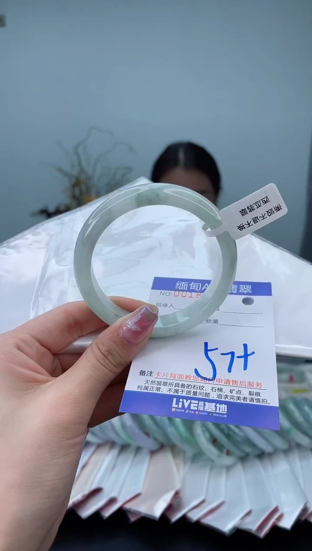 未镶嵌手镯翡翠5