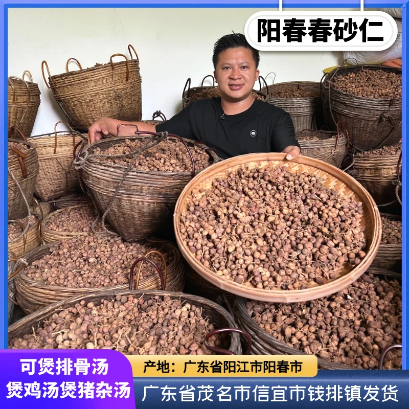 【春砂仁】正宗阳春市本地村民自种自晒可煲汤蒸排骨广东特产