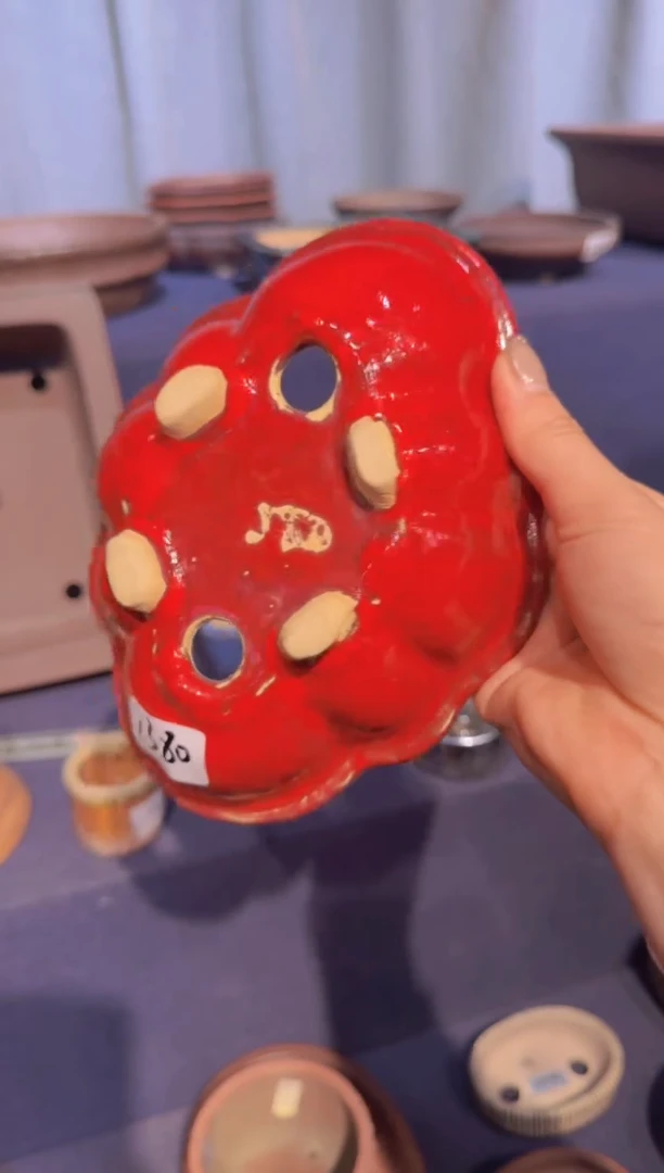 【闪购商品】-写楽-X21