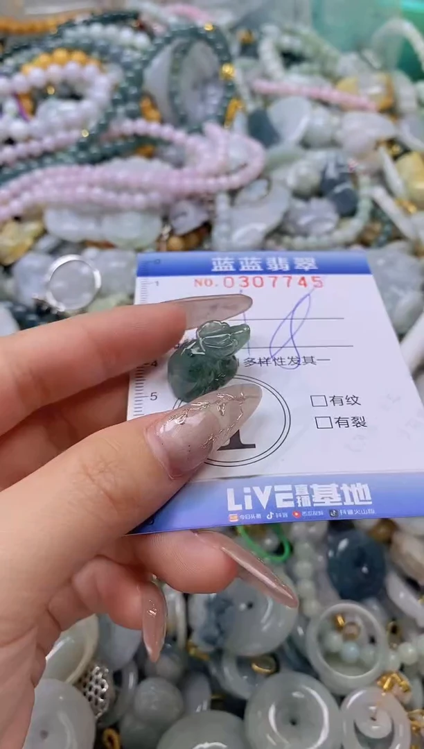 翡翠未镶嵌颈饰闪购0307745