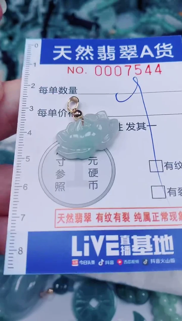 颈饰未镶嵌翡翠00007544