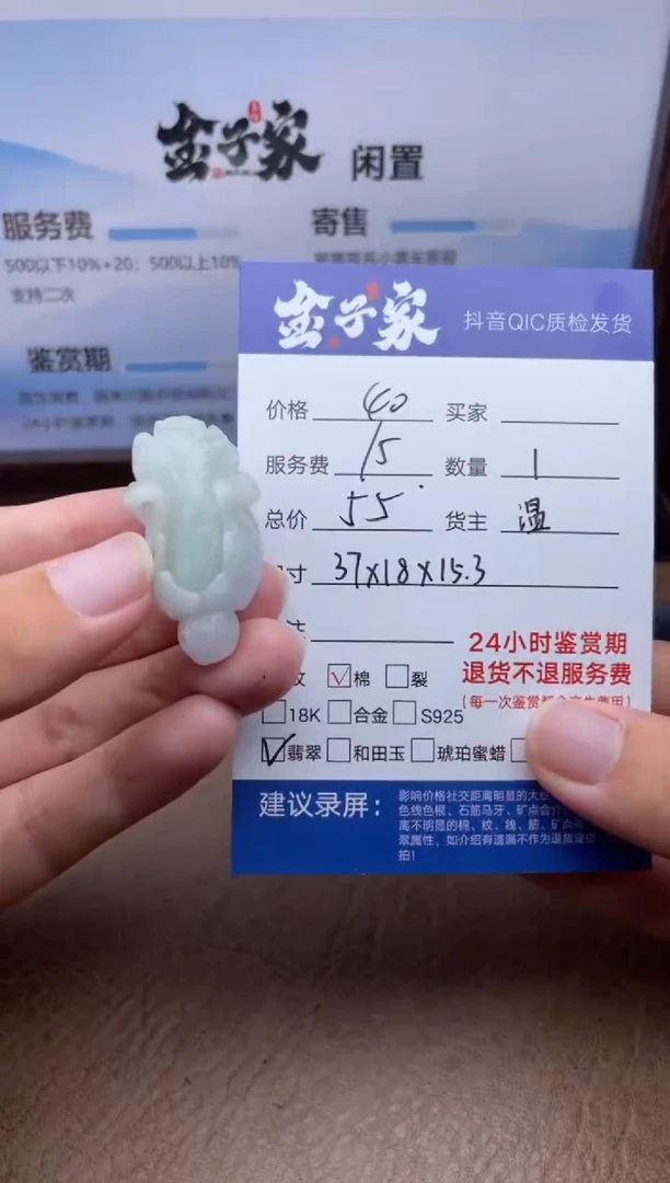 翡翠未镶嵌颈饰5362718162