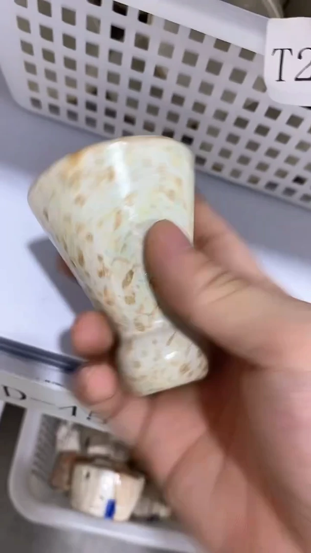 瓷片D-457陶瓷茶具茶器