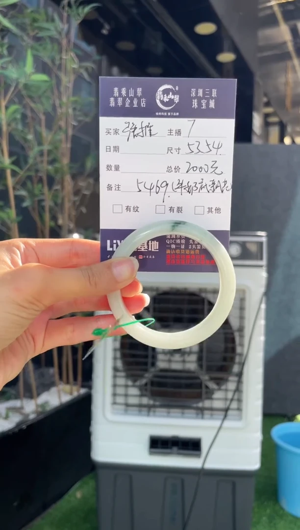 未镶嵌手镯翡翠Q 53-54正圈 5469