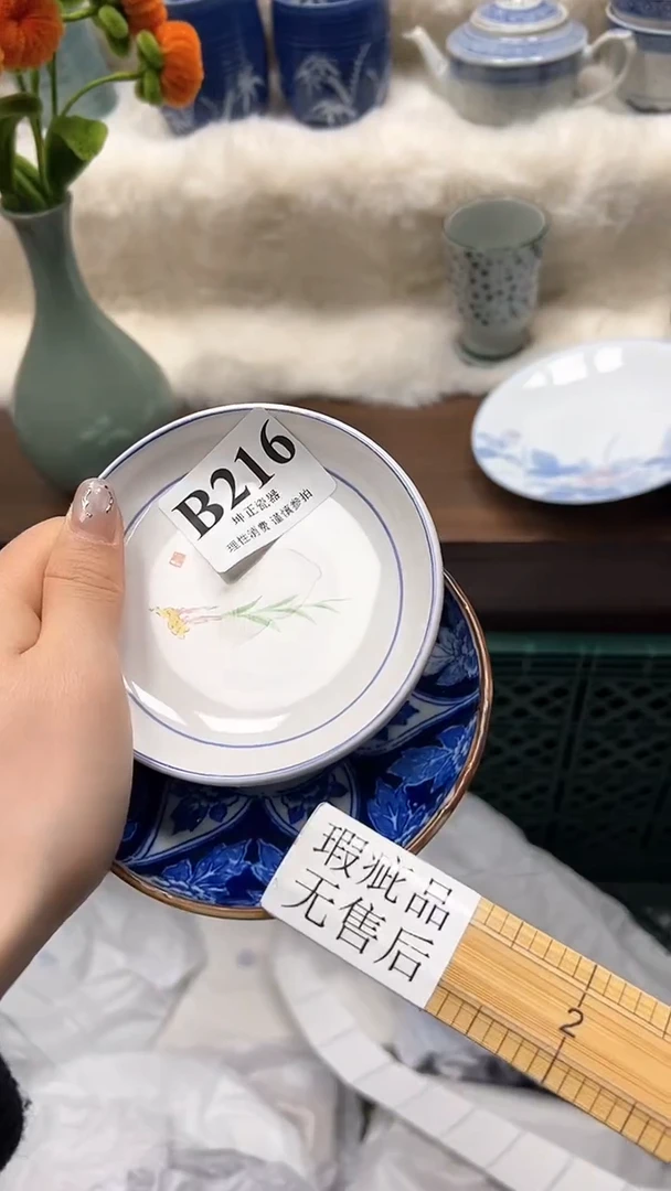 【闪购商品】瓷片          B216