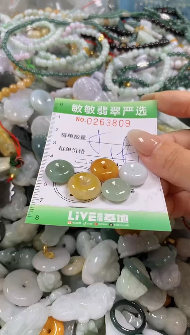 翡翠未镶嵌颈饰闪购0263809