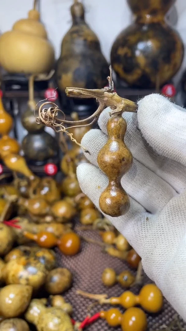 【闪购商品】葫芦葫芦葫芦葫芦葫芦