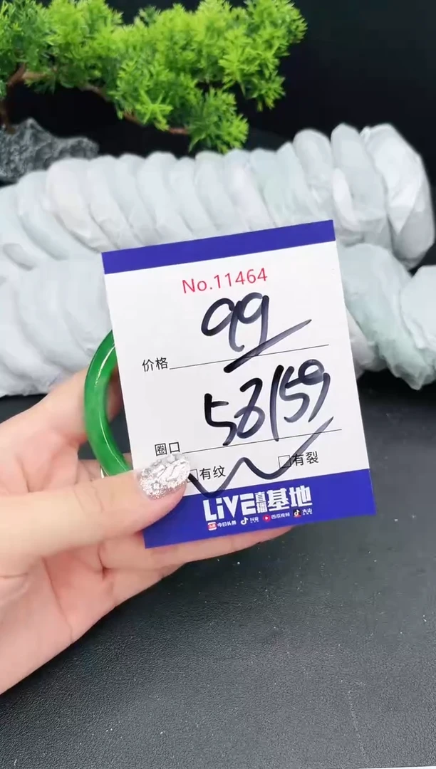 未镶嵌手镯翡翠11464