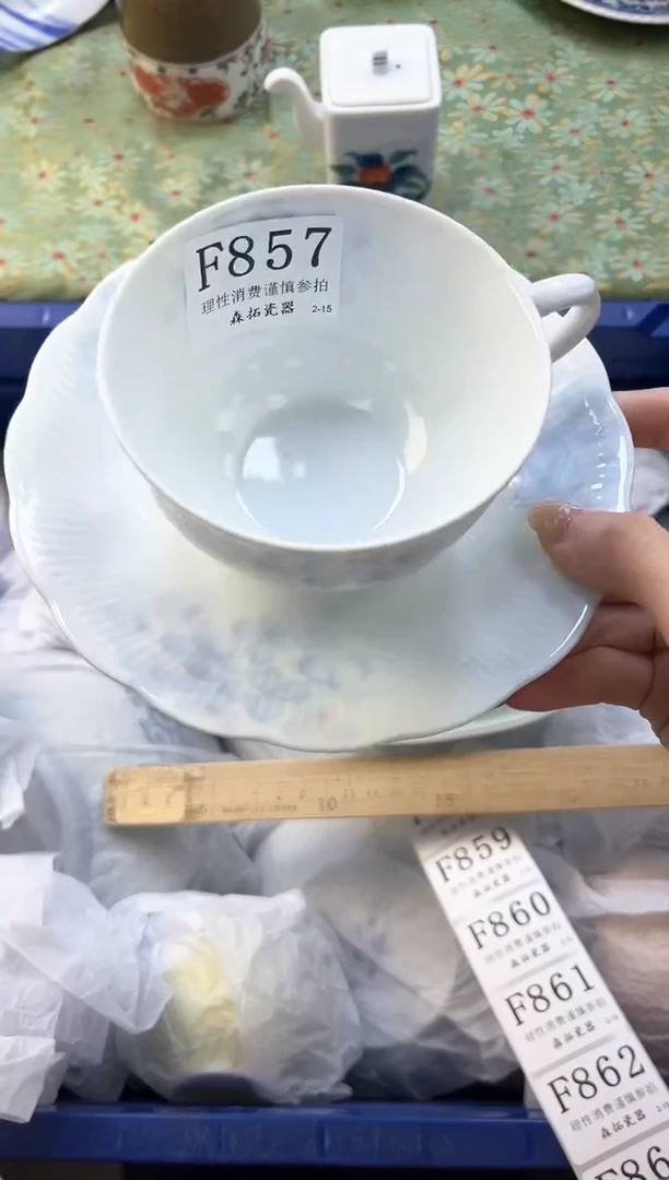 【闪购商品】瓷片          F857